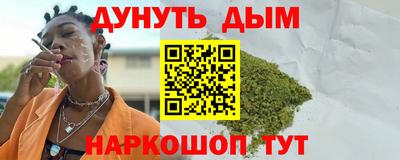 прущие грибы Будённовск