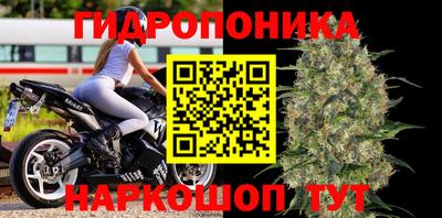 прущие грибы Будённовск